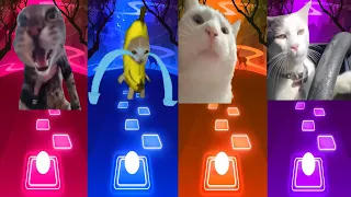 Doorbell Cat vs Banana Cat vs Driving Cat vs Vibing Cat vs  - Tiles Hop EDM Rush