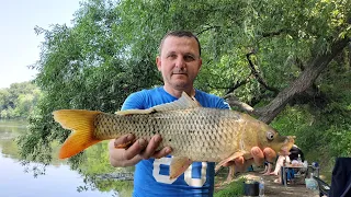 Рыбалка 2023  Летний сезон  Рыбалка на Днестре