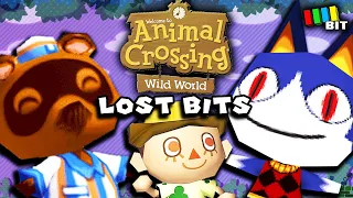 Animal Crossing Wild World LOST BITS | Cut Content & Placeholders [TetraBitGaming]
