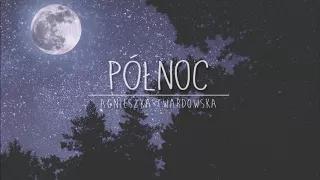 Agnieszka Twardowska - Północ (instrumental)