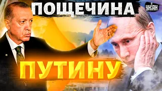 Эрдоган влепил пощечину Путину! Турция - за Украину? Арестович объяснил