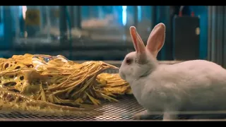 Venom (2018) : Symbiote Occupies Rabbit scene in Hindi HD