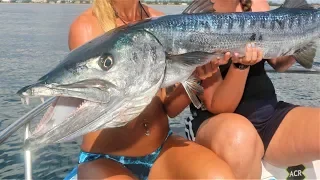 Dropping MASSIVE Baits for Deep Sea WRECK GIANTS!