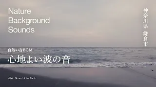 【波の音】　リラックス・睡眠用に静かな海岸の波の音 | Relaxing Ocean Waves for Sleep