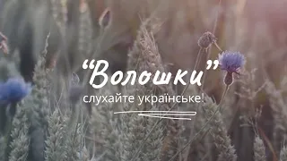 Волошки - Пірус