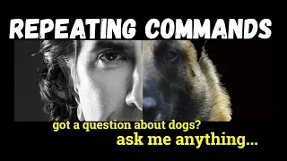 Using Commands too Often - Repeating Commands is Not Beneficial - Dog Training Video