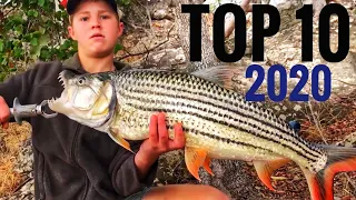 Top 10 fish catches of 2020 (This is Africa Outdoors)