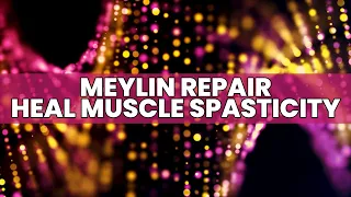 Myelin Repair | Alleviate Neurological Problems | Heal Muscle Spasticity | Stop Tingling In body
