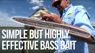 Bass Facts