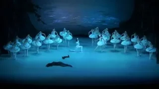 Swan Lake - Borchenko & Lebedev - Mikhailovsky ballet