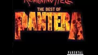 Cemetery Gates - Pantera (HQ Audio)