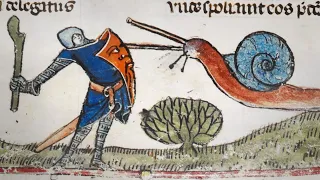 Strange Things Found in Medieval Manuscripts