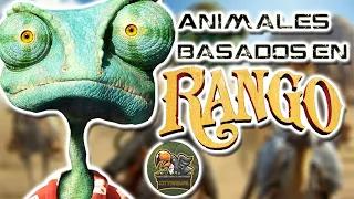 Rango animal analysis - анализ фильмов