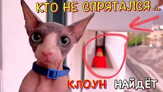 ПРЯТКИ от СТРАШНОГО КЛОУНА в ОТЕЛЕ 🤡 КЛОУН Следит за Котом Миллионом