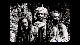 Israel Vibration - Red Eyes Israel vibration Live again!