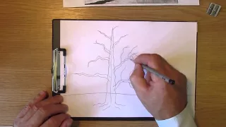 Как рисовать дерево дуб. Часть 1. Урок 11. How to draw oak tree. Lesson 11