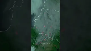 Chile WILDFIRES revealed from space 🛰️ #shorts