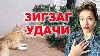 🎄 С НОВЫМ ГОДОМ! 🎄  Лимитированное новогоднее издание 😂 Удаленные сцены за 12 месяцев 2021 года 🎇