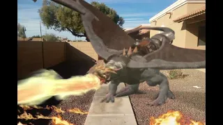 A Real Life Dragon In Phoenix