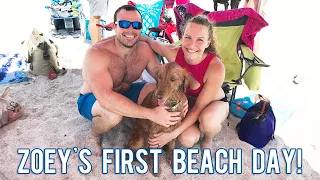 Doggie Beach Day at Haulover Beach | June 1, 2019