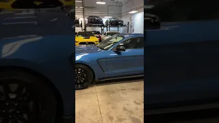 2019 Ford Mustang Shelby GT350 Walkaround Video. For sale at TXG Automotive in Sioux Falls, SD!