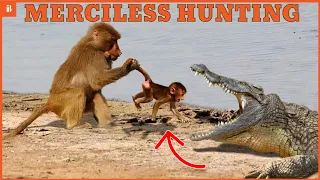 15 Insane Crocodile Attacks Caught on Camera! | Jaws of Death