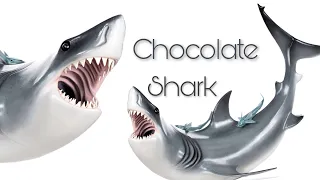 Chocolate Shark!