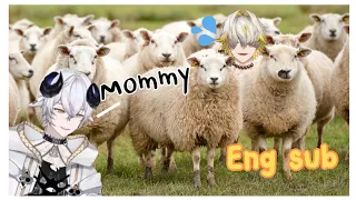 【ENG SUB】Dacapo got lost in the flock of sheep