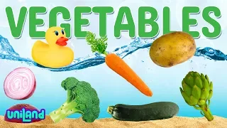 Sink or Float Challenge: Vegetables | UniLand Kids