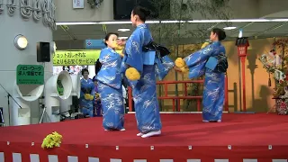 「きよしのズンドコ節」小蝶の会（こちょうのかい）２０１３