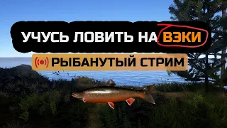 Пробую ловить на ВЭКИ ● Стрим ● Русская Рыбалка 4