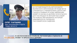 В Меленковском районе легковушка съехала в кювет и врезалась в дерево