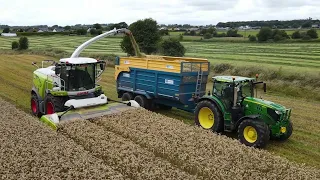 E. Sweeney Agri  - Wholecrop 2023