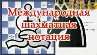 Что такое Международная Шахматная Нотация - урок для начинающих.