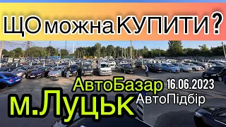 ШАЛЕНИЙ ВИБІР АВТО❗️АвтоБазар м.Луцьк❗️Що купити❓АвтоПідбір❗️16.06.2023