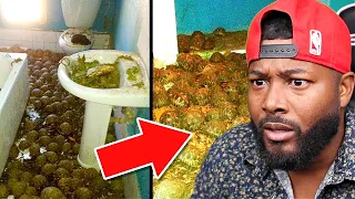 Cops Called To Investigate A Smell Didn't Expect To Find This | REACTION