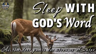 Sleep with God's Word | Healing Scriptures | Bible reading audio