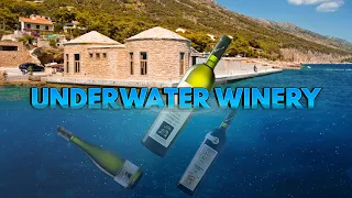 A Winery Underwater🤿 and Unlike Anything You’ve Ever Seen.