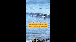 When to stand up on a longboard? #surfer #howtosurf #learntosurf #howtolongboard #longboardsurfing