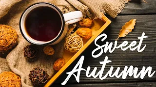 Positive Jazz Music- Sweet Autumn Coffee Jazz & Gentle Bossa Nova September for Rest & Stress Relief