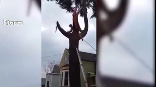 [Eng] Tree cutting fails and idiots with chainsaws. FAIL COMPILATION 2017 - 2017 Full