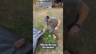 Why Do We Tarp Our Garden?