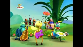 Big Bugs Band | Reggee