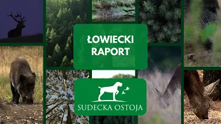 ŁOWIECKI RAPORT - SUDECKA OSTOJA #9