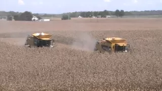 Caterpillar 595R and Claas Lexion 760TT Combines Harvesting Corn