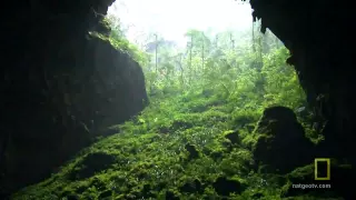 HD  The world's biggest cave   Vietnam   YouTube