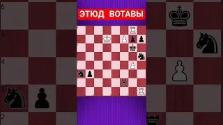 💥ТРОЯНСКАЯ ЛАДЬЯ #chesspuzzle #шахматныезадачи #шахматы #chess