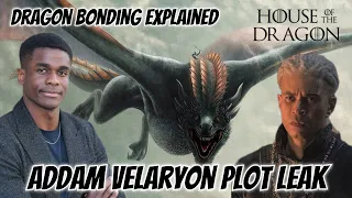 Dragon Bonding Explained & Addam Velaryon Plot Leak || House of the Dragon Season 2