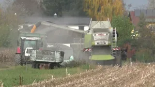 Mais Ernte 2022 Dreschen von Körnermais mit Claas Lexion 560 7  Reihigen Geringhoff Maispflücker Mai