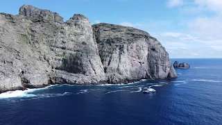 Diving Malpelo with the Ferox July 2022